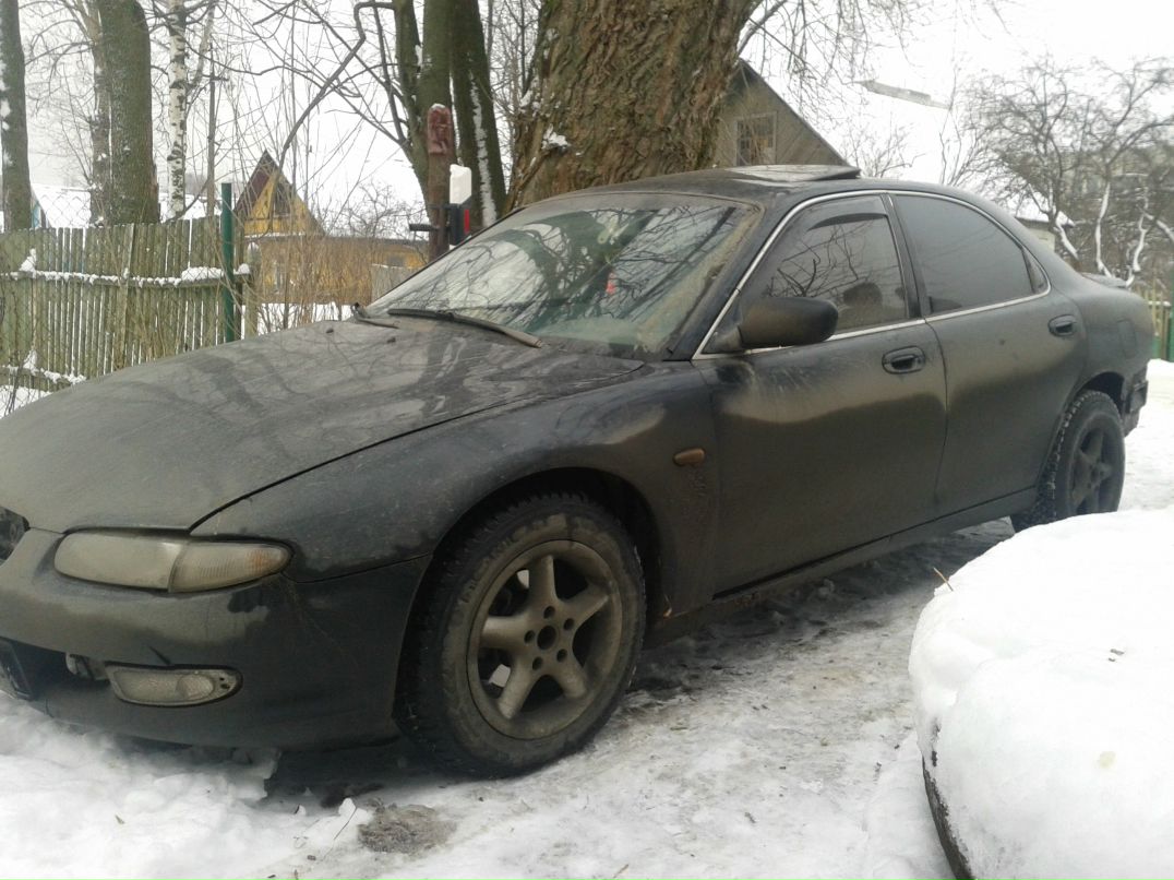 Алексей Дружкин 