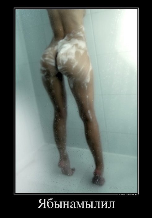 Ger Fox | Борисов