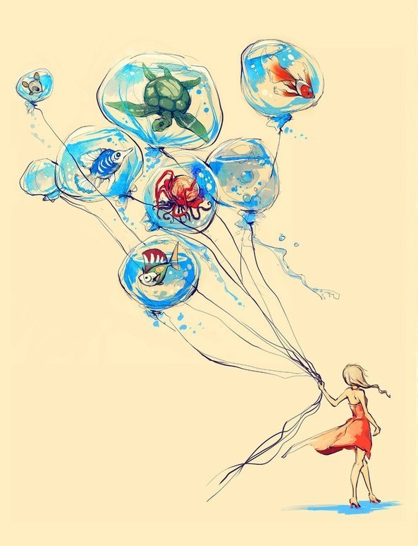 Юлия Джанки | Чернигов