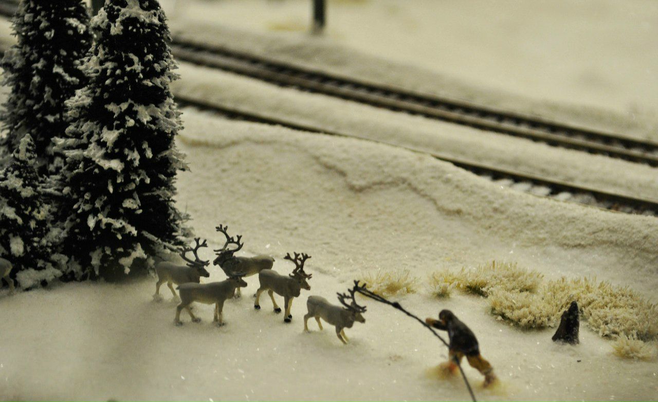 Анастасия Марфина | Санкт-Петербург