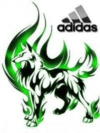 Кирилл Ефимов | Лащ-Таяба