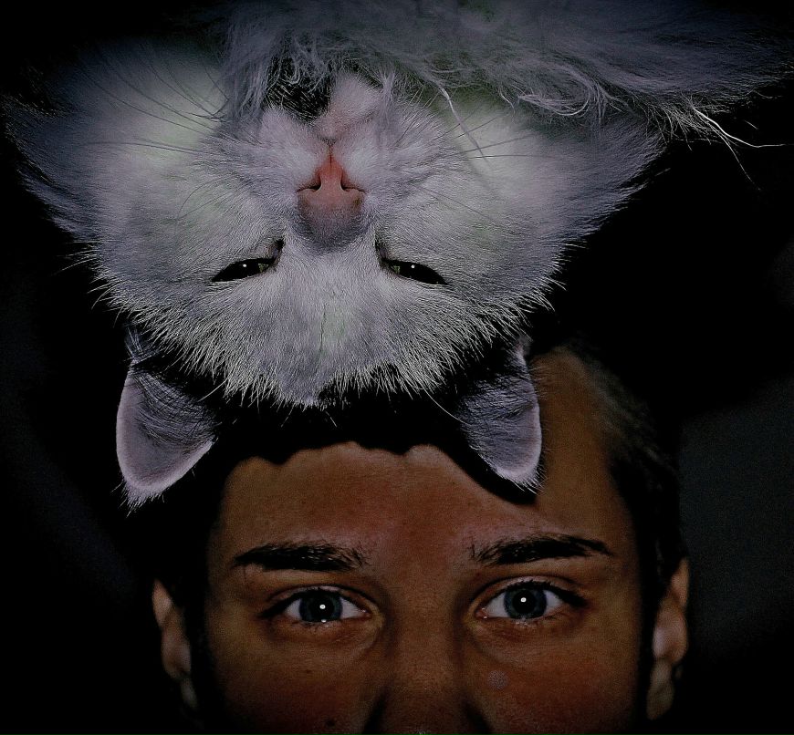 Алексей Сергеев ϟ | Москва