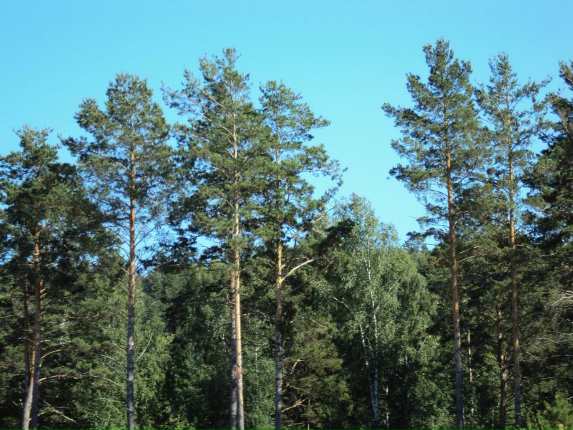 №200, Вадим Евгеньев, 33 года, Красноярск №200, Вадим Евгеньев, 33 года, Красноярск