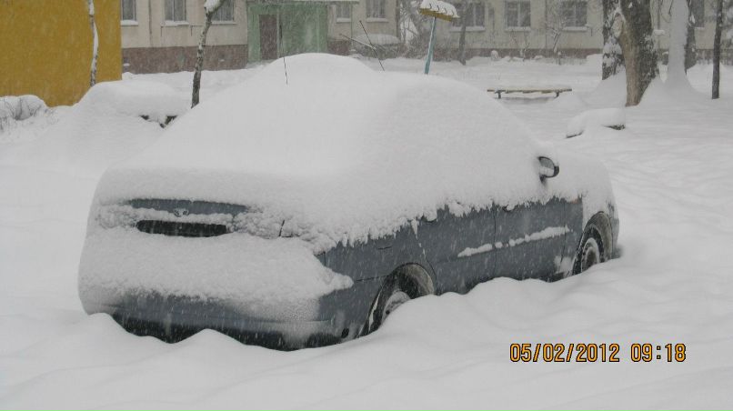 Дмитрий Колибаба | Житомир