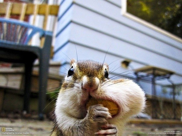 №50, Игорь Братцев, Санкт-Петербург №50, Игорь Братцев, Санкт-Петербург