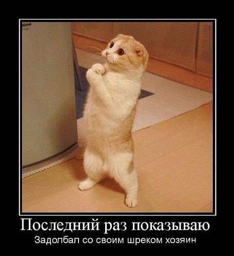 №4, Таня Которова, Мариуполь №4, Таня Которова, Мариуполь