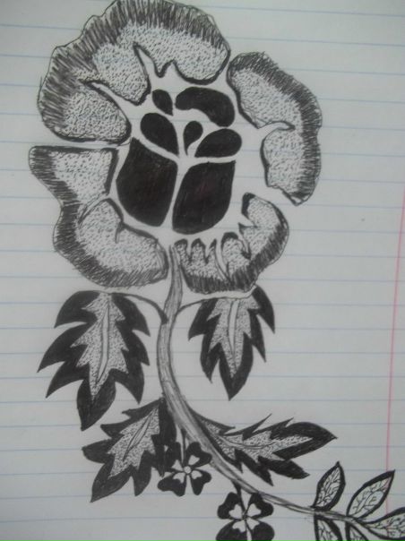 №29, Виктория Вавилова, 30.05.1996, Орёл (хутор) №29, Виктория Вавилова, 30.05.1996, Орёл (хутор)