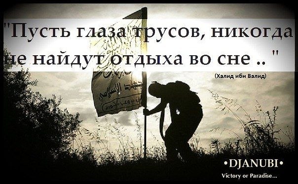 Артур Жиесть | Санкт-Петербург