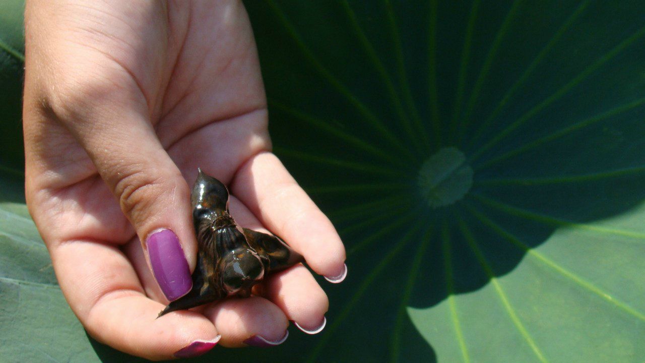 Ленуська Никонова | Санкт-Петербург