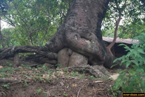 №144, Роман Авилов, Челябинск №144, Роман Авилов, Челябинск