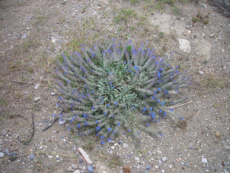 Татьяна Козлова | Санкт-Петербург