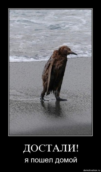 №48, Екатерина Высторобец, 38 лет, Киев №48, Екатерина Высторобец, 38 лет, Киев