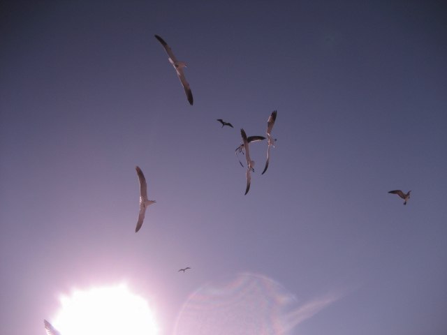 Александр Кудрявцев | Одесса