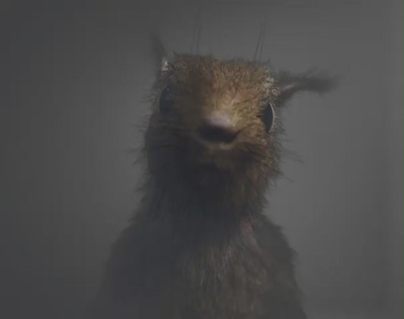 Юрий Варава | Гродно