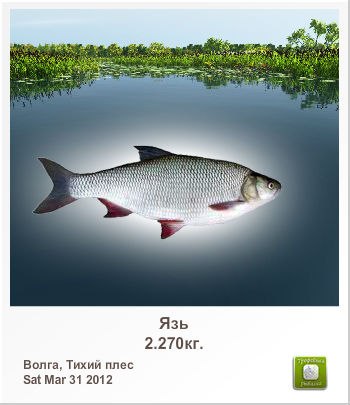 Мадест Полуэктов | Москва