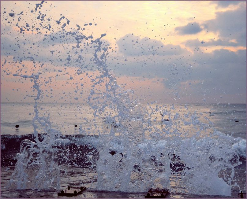 Елена Шевченко | Краснодар