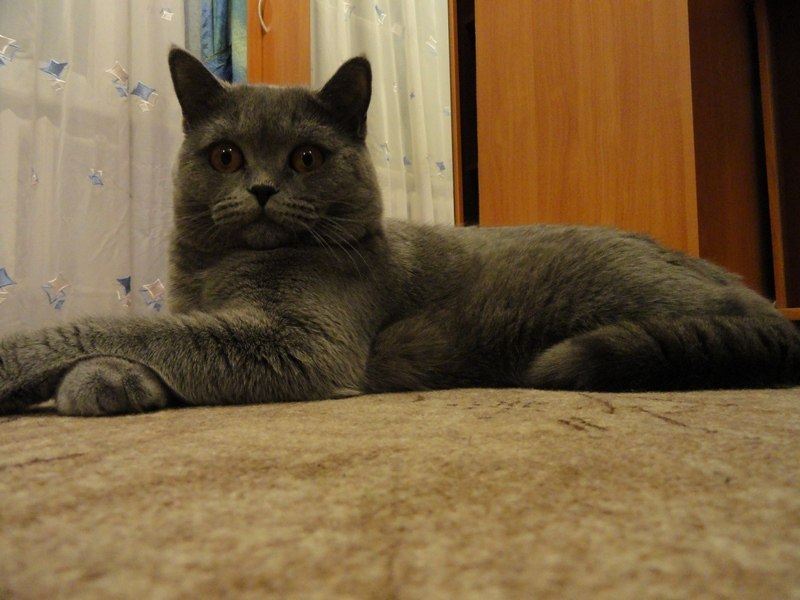 Владимир Комолятов -=BenDeR=- | Москва