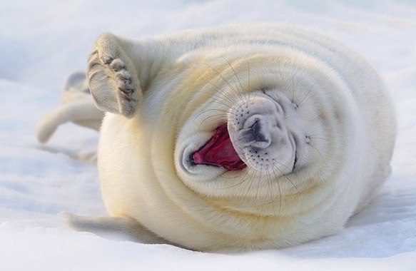 Katerina Fedorishcheva | Praha