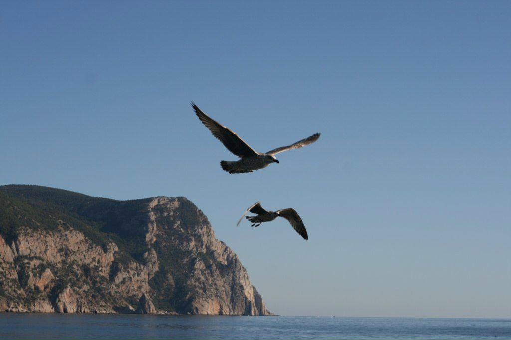 Анна Пасмурова | Санкт-Петербург
