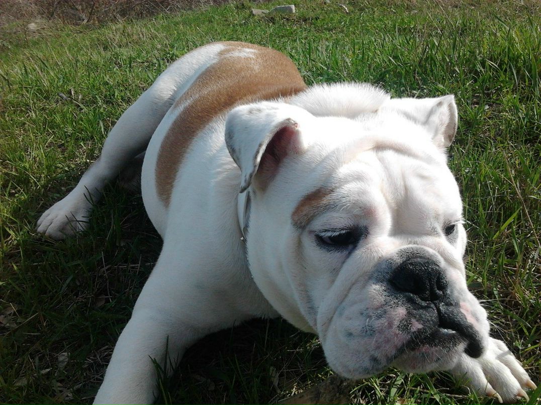 Иван Киреенко ☣ [cartman] ☣ | Лисичанск