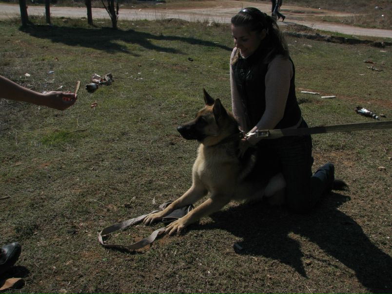 №96, Руслан Гордеев, Львов №96, Руслан Гордеев, Львов