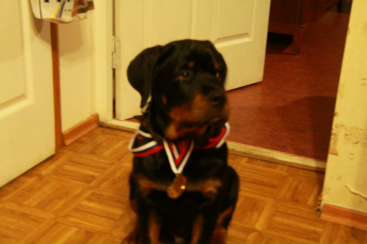 Анатолий Иванов | Barcelona