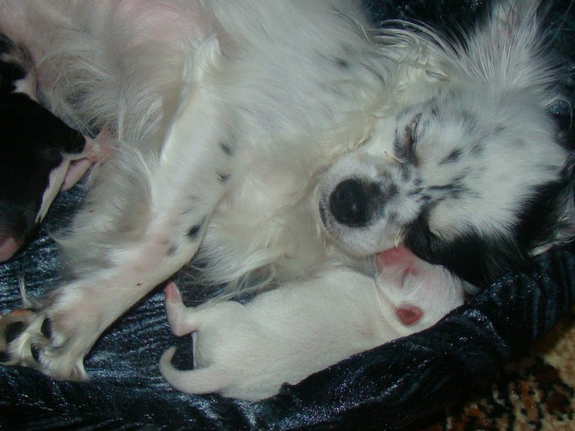 Ирина Фадеева | Санкт-Петербург