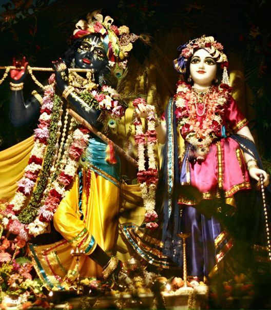 №40, Ян Кумар №40, Ян Кумар