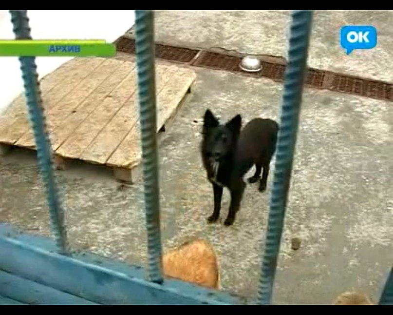 Юлия Бей | Киев