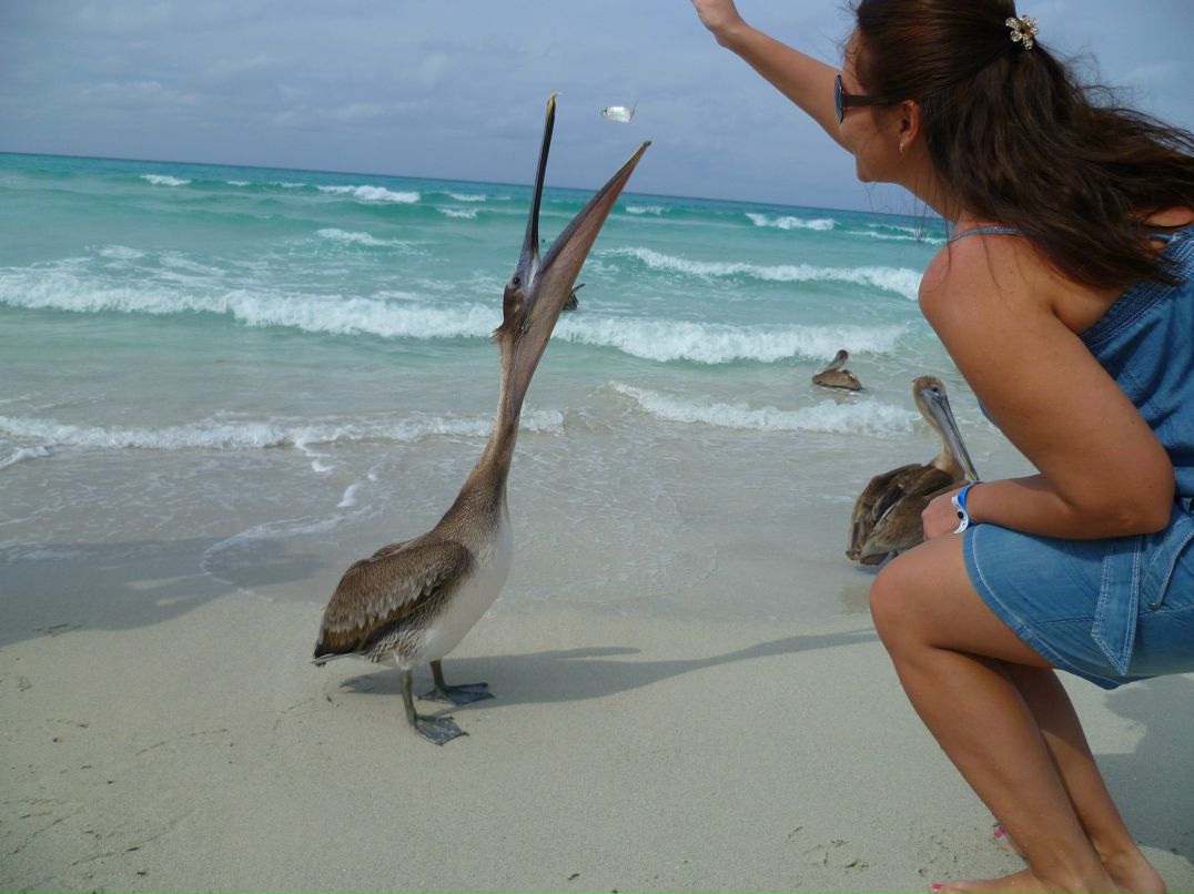 Наталья Васильева | Санкт-Петербург