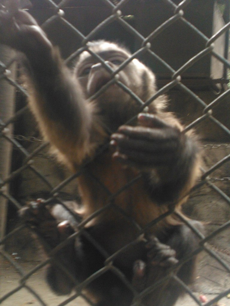 Олеся Лалвани | Hong Kong