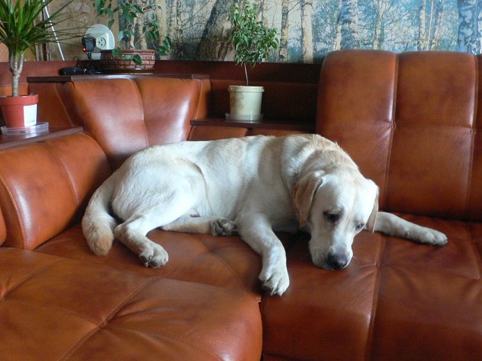 Саша Лавров 龍 | 