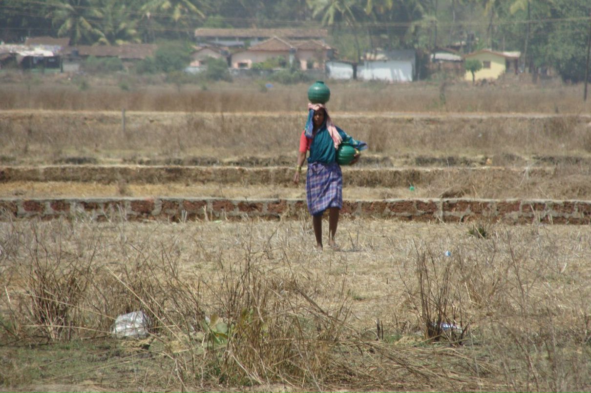 Татьяна Полякова | Рязань