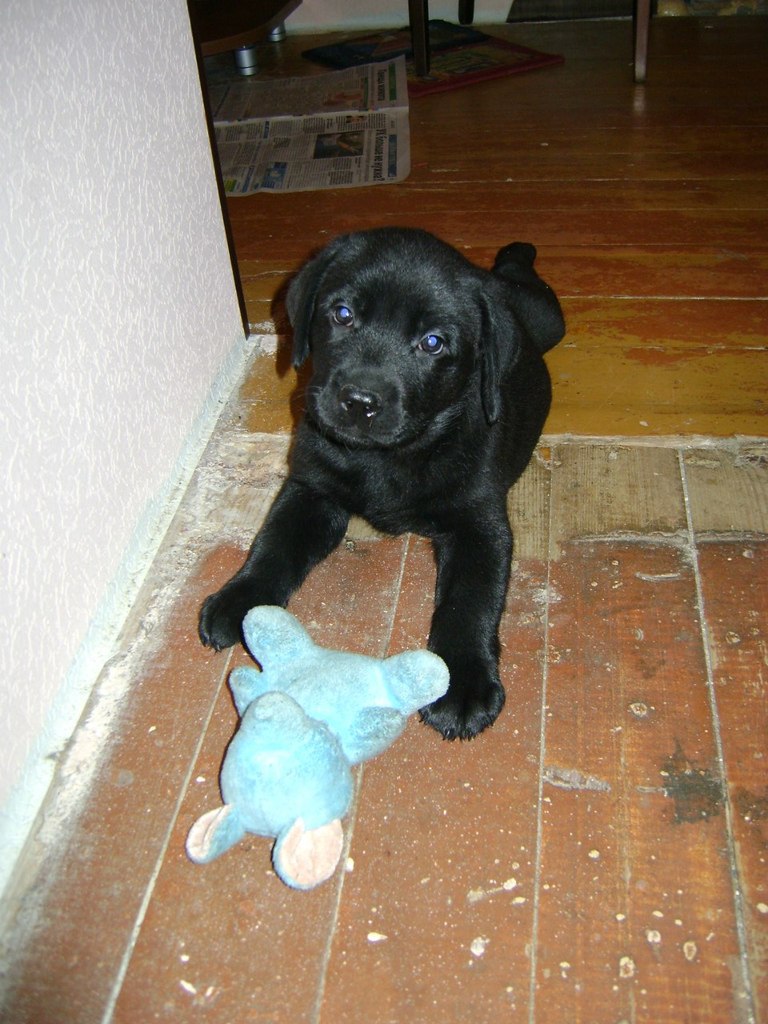 Паша Роскин | Мурманск