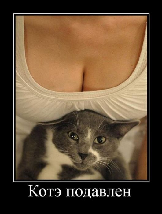 Дмитрий Куфтин | Нижний Новгород