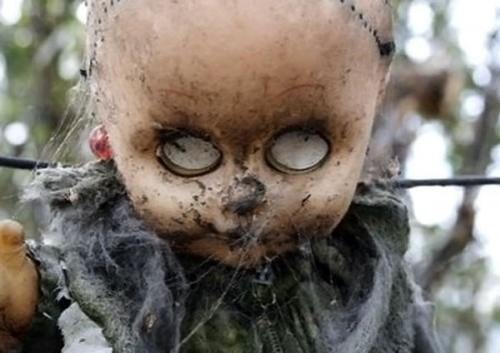 Василий Устюжанин Слон | Брест