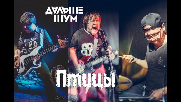 ДАЛЬШЕ ШУМ Птицы (102 d B 16 09