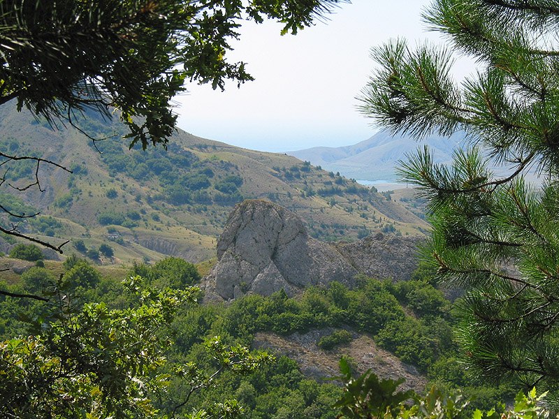 Роман Осипов | Барнаул