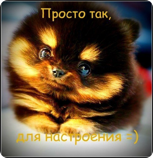 Машенька Никитина |