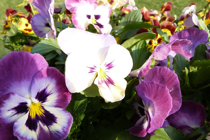 Илья Субочев | Москва