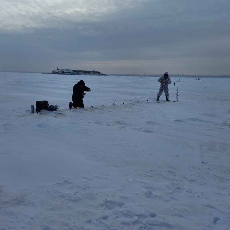 Надежда Тейдер | Гатчина