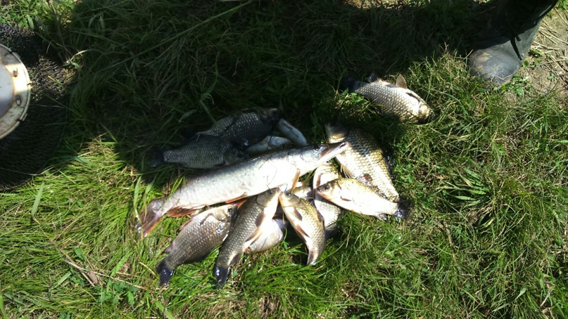 Михаил Анищенко | Новотроицк