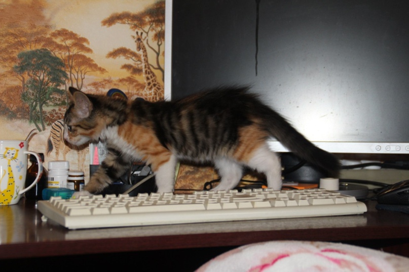 Екатерина Варнавская | Санкт-Петербург