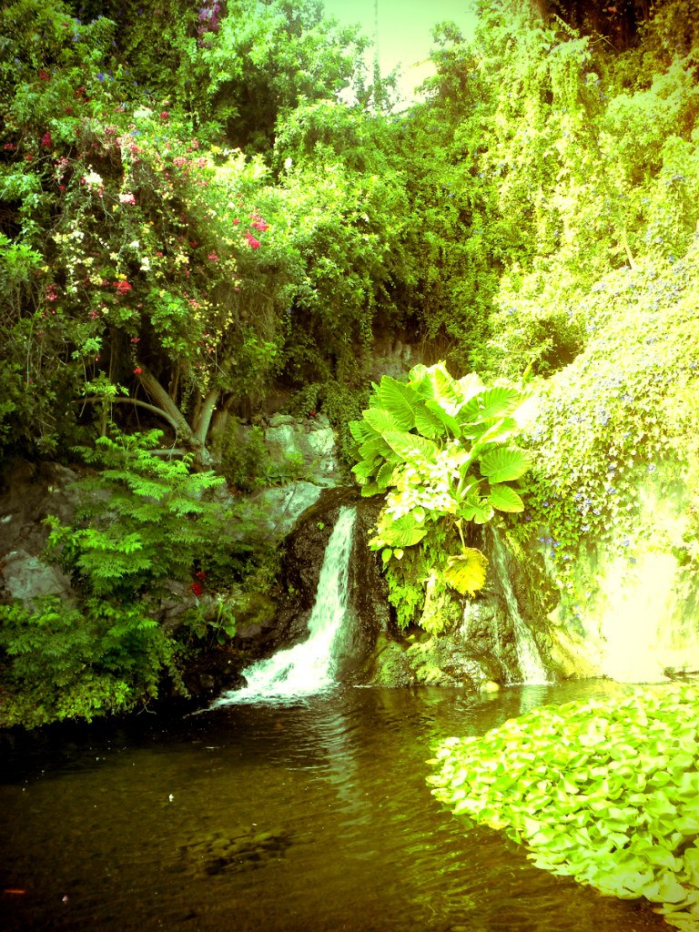 Нина Бочкова | Москва