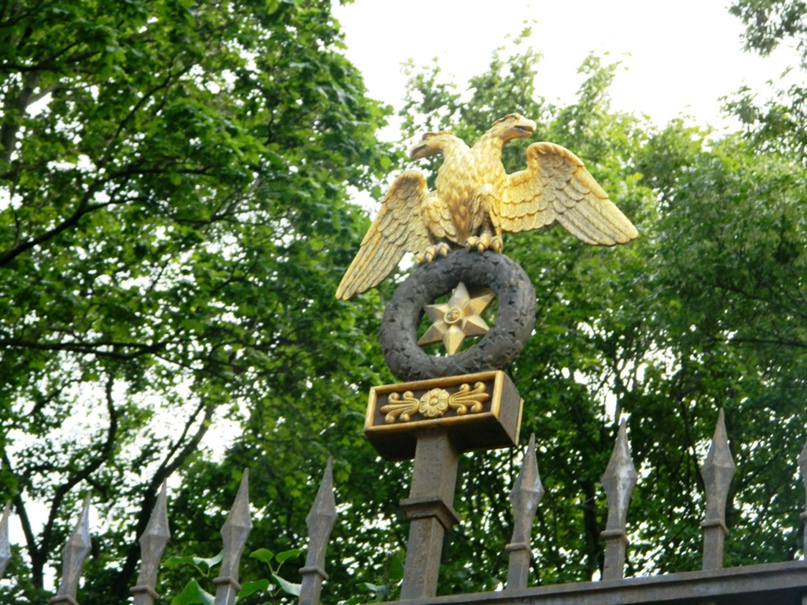 Константин Фадеев | Санкт-Петербург