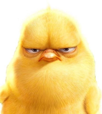 Максим Дорофеев | Нижний Новгород