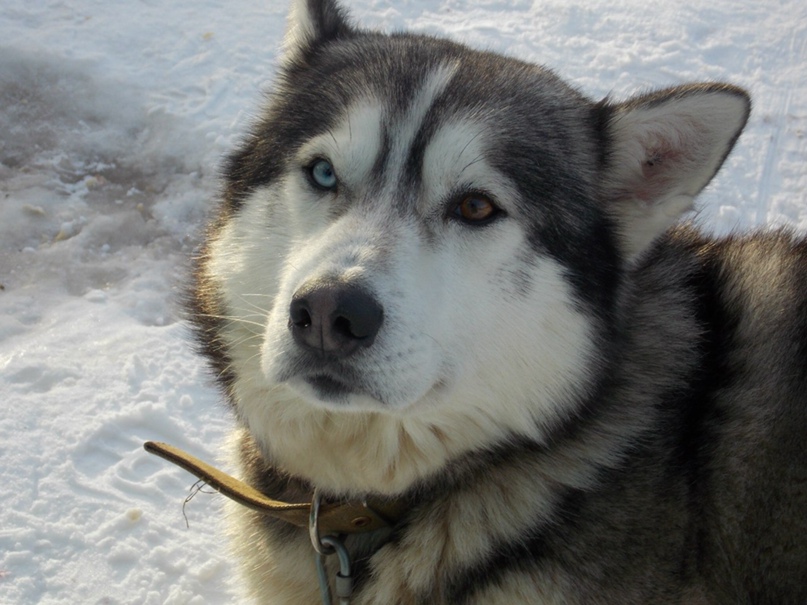 Наталья Силина | Екатеринбург