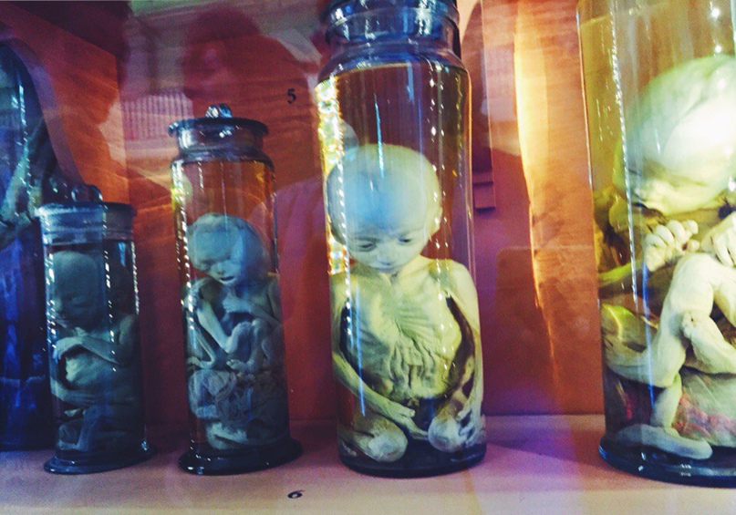 Маша Некрасова | Краснодар