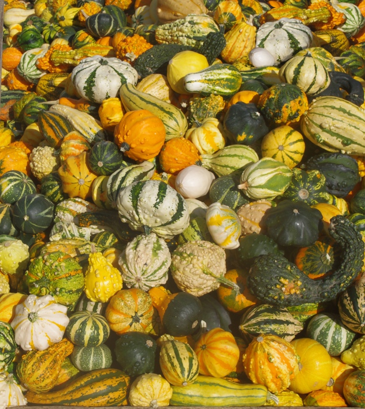 Николай Черников |