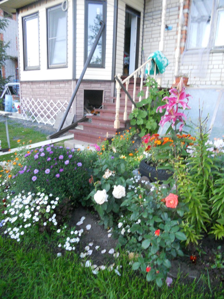 Наталья Терехова | Петрозаводск